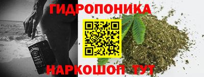 гидра Можга