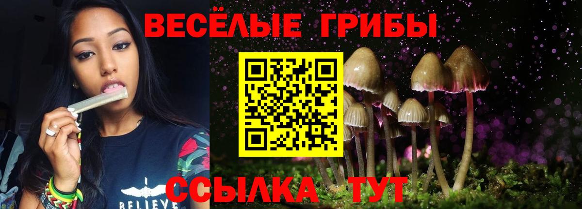 закладки  Галлюциногенные грибы Cubensis  Псилоцибиновые грибы Cubensis  Вход с VPN  Пенза 